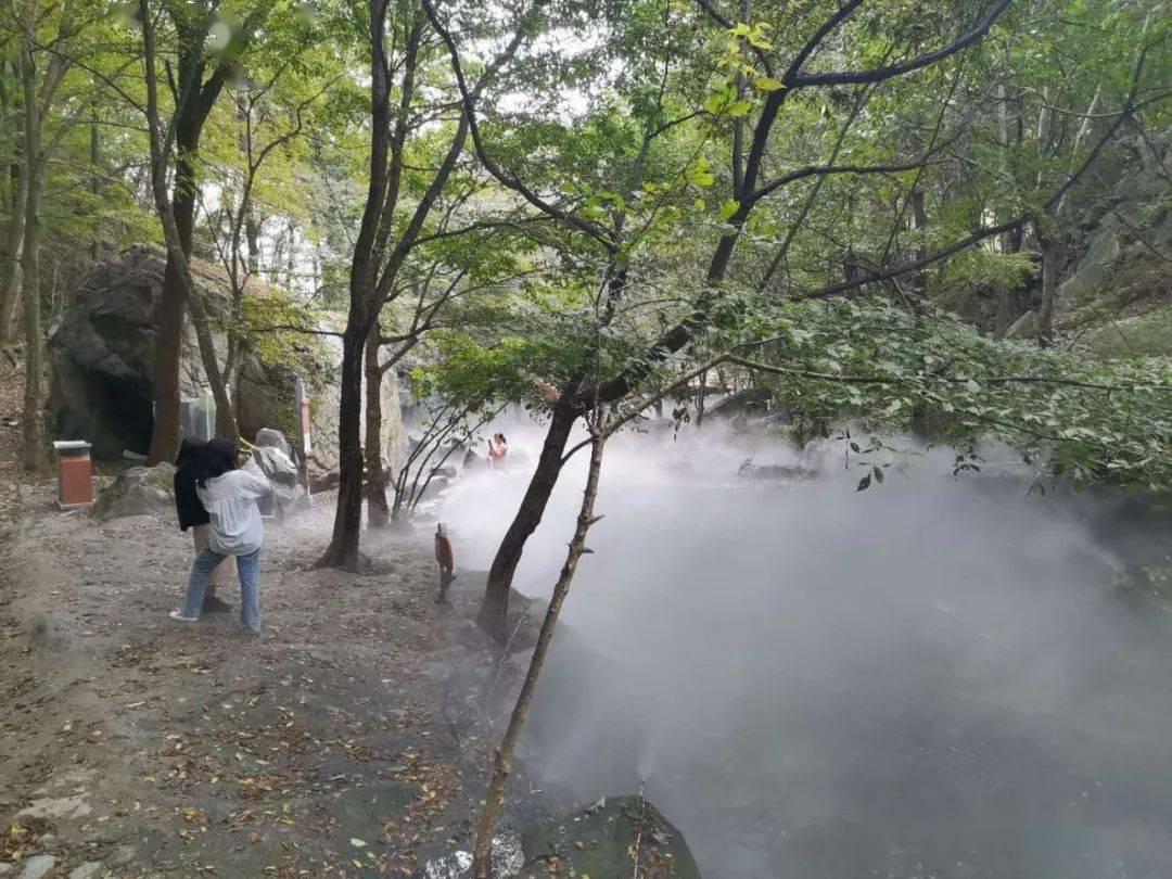 《木筏求生》加固船体鲨鱼啃咬情况介绍